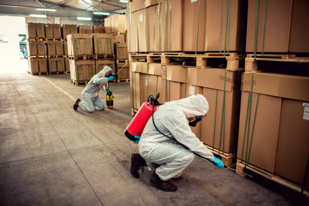 Pest Control Cost in Lake Isabella, CA