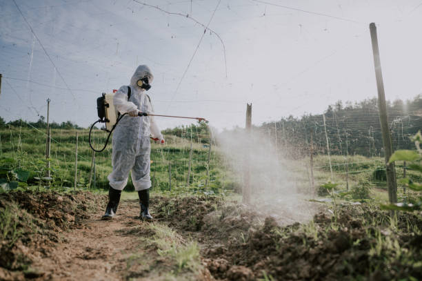 Pest Control Cost in Lake Isabella, CA