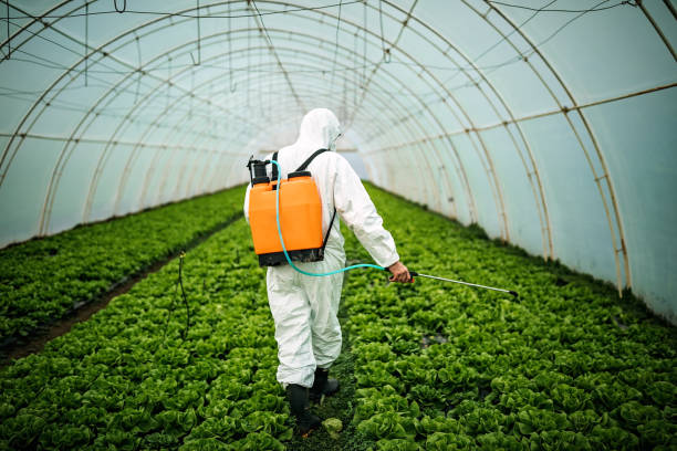 Best Pest Control Cost  in Lake Isabella, CA