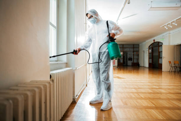 Best Flea Control Services  in Lake Isabella, CA
